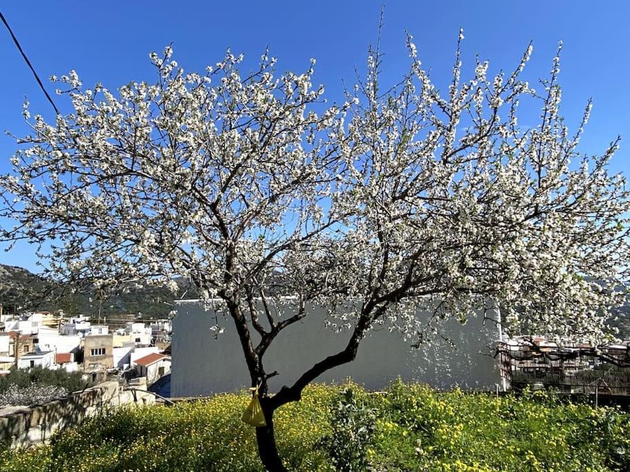 Apartment Kamari- Stunning Views Kritsa